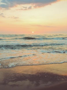 John (Bottle Top) William Forster