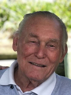 Henricus (Henk) van Wezel