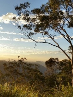 Ronald Terrence Harrison